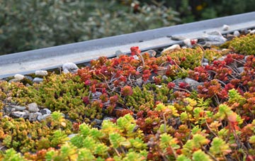 the cost of Pentyrch green roof installation