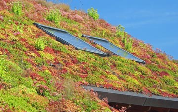 Pentyrch living roof systems