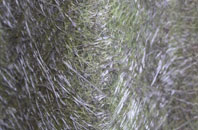 Pentyrch fibreglass roof work